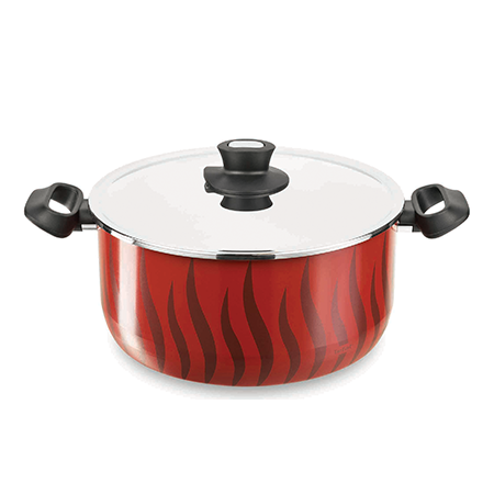 قابلمه 28 تفال مدل New Tempo